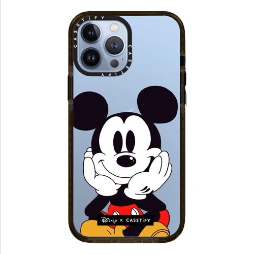 Big Mickey Mouse case